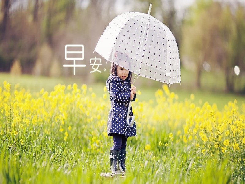 试管酥酥le（试管放胚胎后）